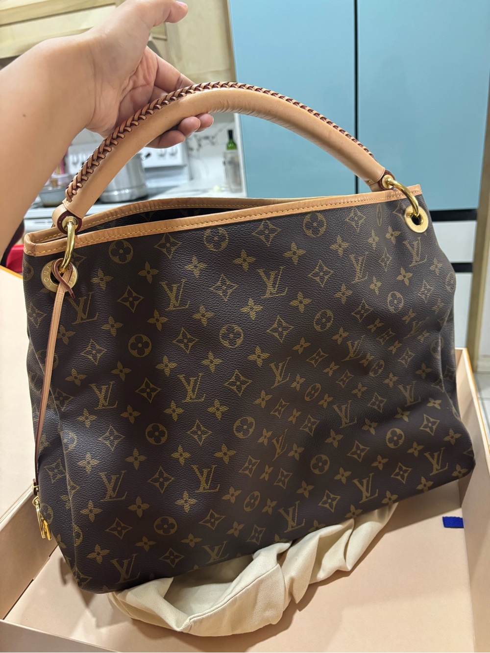 Louis Vuitton Monogram Canvas Hobo Bag in Brown and Tan